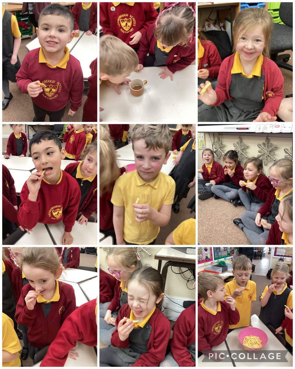 FRISroom10's tweet photo. In science we have explored our 5 senses, touch, taste, smell, sight and hearing. #FRISscience https://t.co/EOMV8Gmcyj