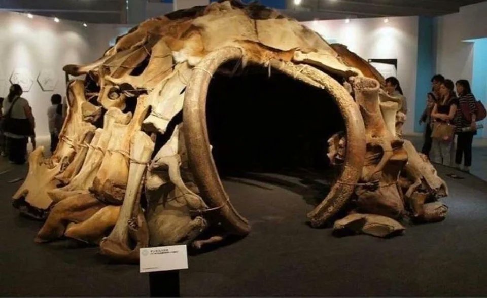 Excavations in Mezhyrich, Ukraine, revealed the presence of 4 huts, made up of a total of 149 mammoth bones in 1965. These 15,000 year old dwellings, are some of the oldest shelters known to be constructed by prehistoric man.