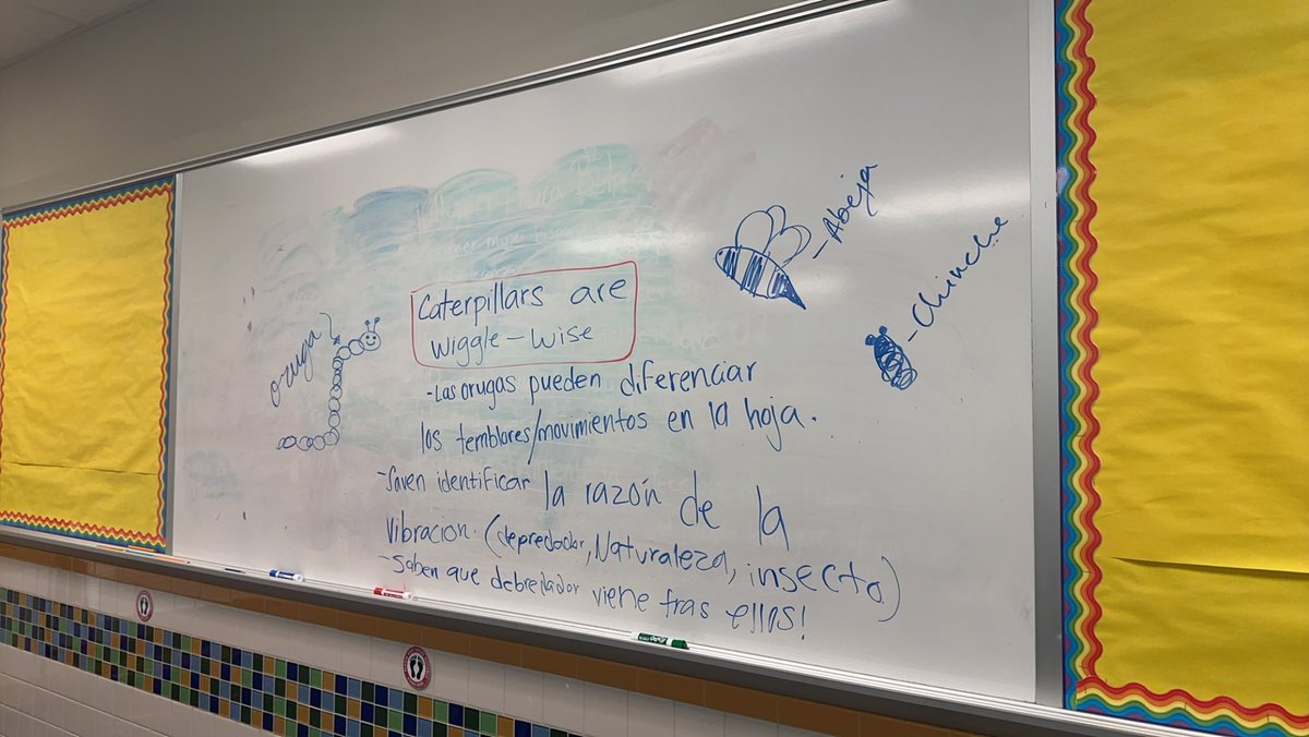 msflores_y's tweet photo. Taking notes on a non-fiction informative text using boxes and bullets with our Spanish testers!  #3rdgrade #ELA #RGE #SBISD #bilingual #notes #smallgroup https://t.co/U2gZOZJPKY