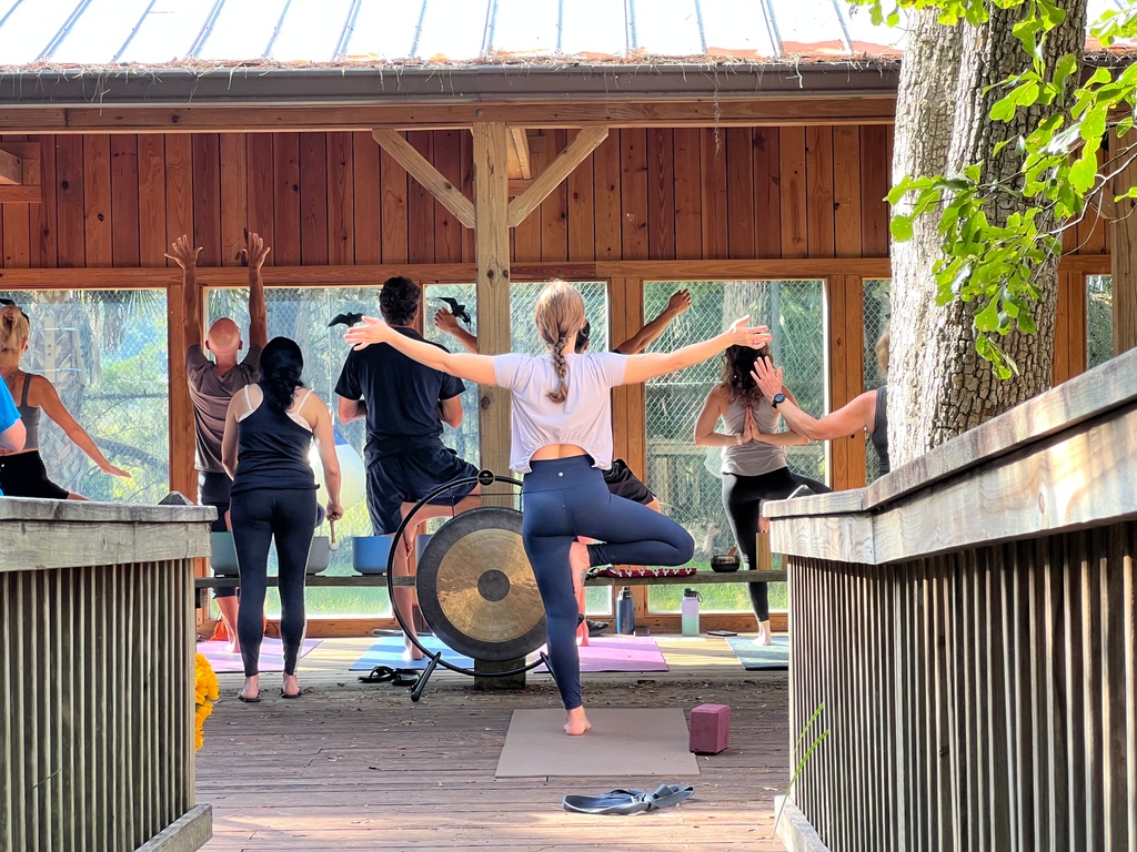 ✨🧘⁠ Don't miss this Gentle Yoga and Sound Journey at Cougar Crossing on April 15! (yes, that means Olympia and Rainier will be there with you!!) 😻😻⁠
⁠
Space is limited to 25 participants for this intimate experience. ⁠
friendsofoatland.org/cougar-yoga-so…