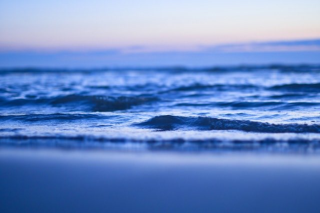 You only have to let the soft animal of your body love what it loves✨
~Mary Oliver

#TheFeminine #ocean