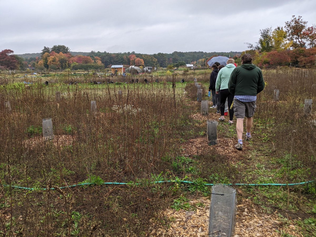 Happy #WholeGrainSamplingDay! We 💚this field trip & partnership with @GrowFoodNton that allowed our Fellow's students the change to sample different perennial grains including #Kernza and even pawpaw fruits. What whole grains are you trying today? 🌾🌾🌾