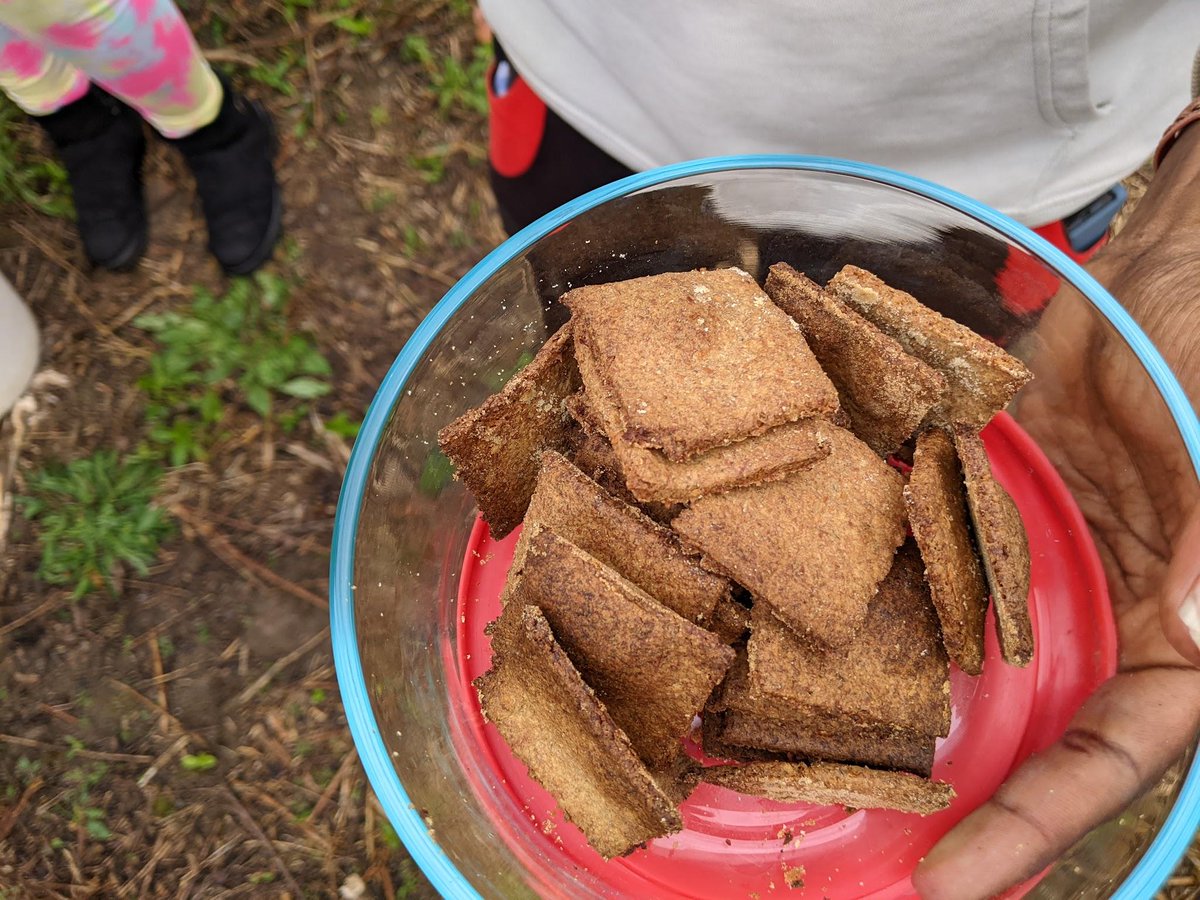 Pilot Light tweet media