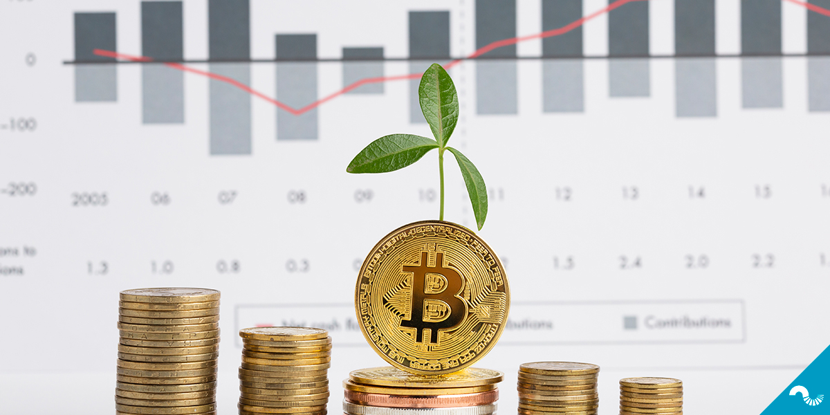 ¿Buscas un servicio personalizado y seguro para tus inversiones en criptomonedas? 🔎 ¡Te presentamos Coinmotion Wealth! 😉

➡️ bit.ly/coinmotion-wea…