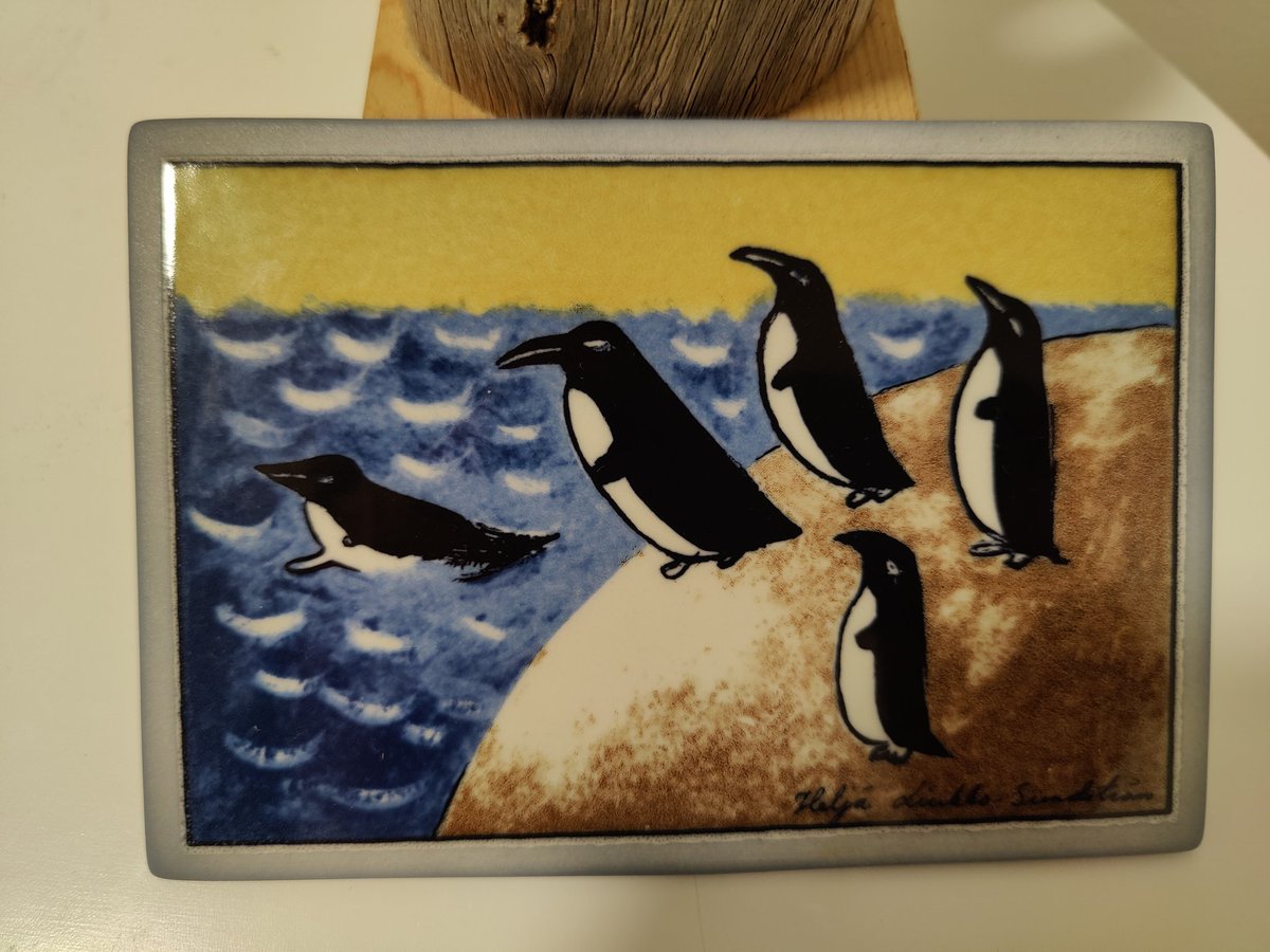 LiliTian06's tweet image. It&apos;s all about taking challenges, but I&apos;m the one standing aside and planning to escape.🐧 #courage #Rohkeutta #phdlife