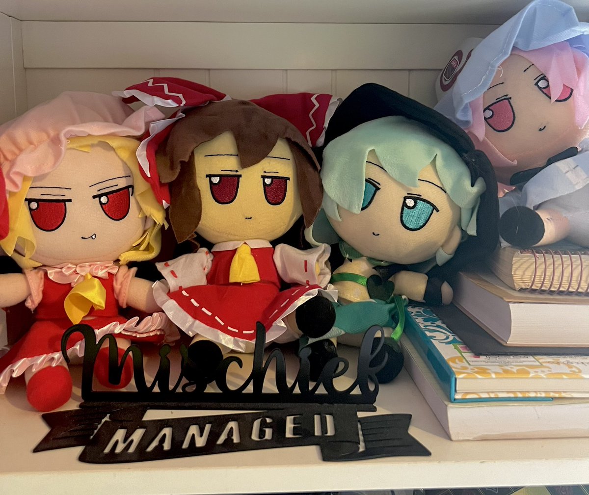 srowold's tweet photo. Notti Fumo caught Hedwig! Glad I noticed…they are now in time OUT. #Fumo #mischiefmanaged https://t.co/OgGZ62TgYy