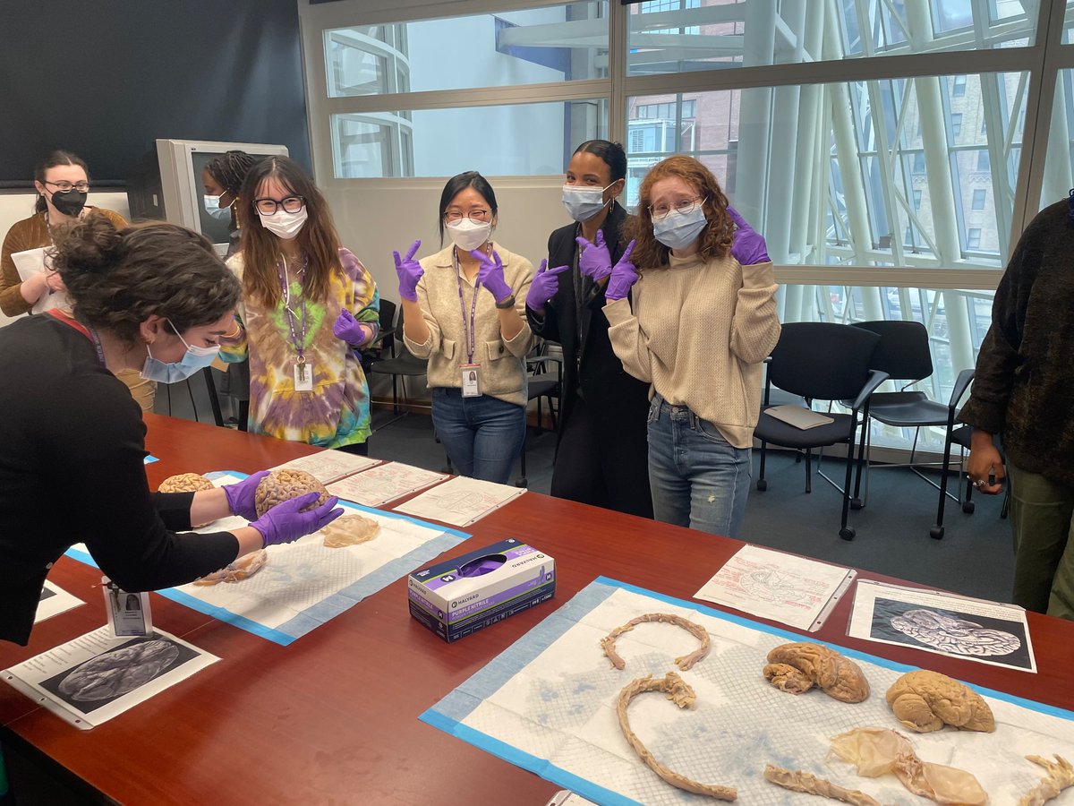 the_lugo_lab's tweet photo. Not your average Tuesday! Thank you to the donors, Kathleen Durkin, and @ZuckermanBrain for the neuroanatomy lesson!! 🧠🤓🥼 https://t.co/Q56OAXMtl2