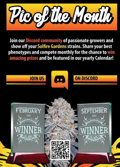 Solfire Gardens tweet media