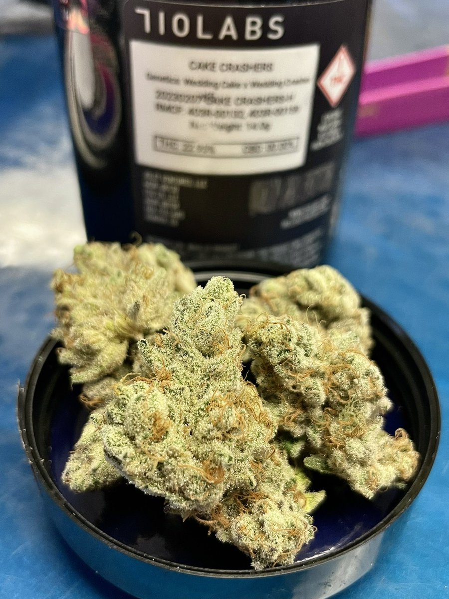 Cake Crashers is back!! 🍰💥 
RELEASES TOMORROW MORNING! 
Wednesday March 29th, 9AM <a href="/710labs/">710 Labs</a>