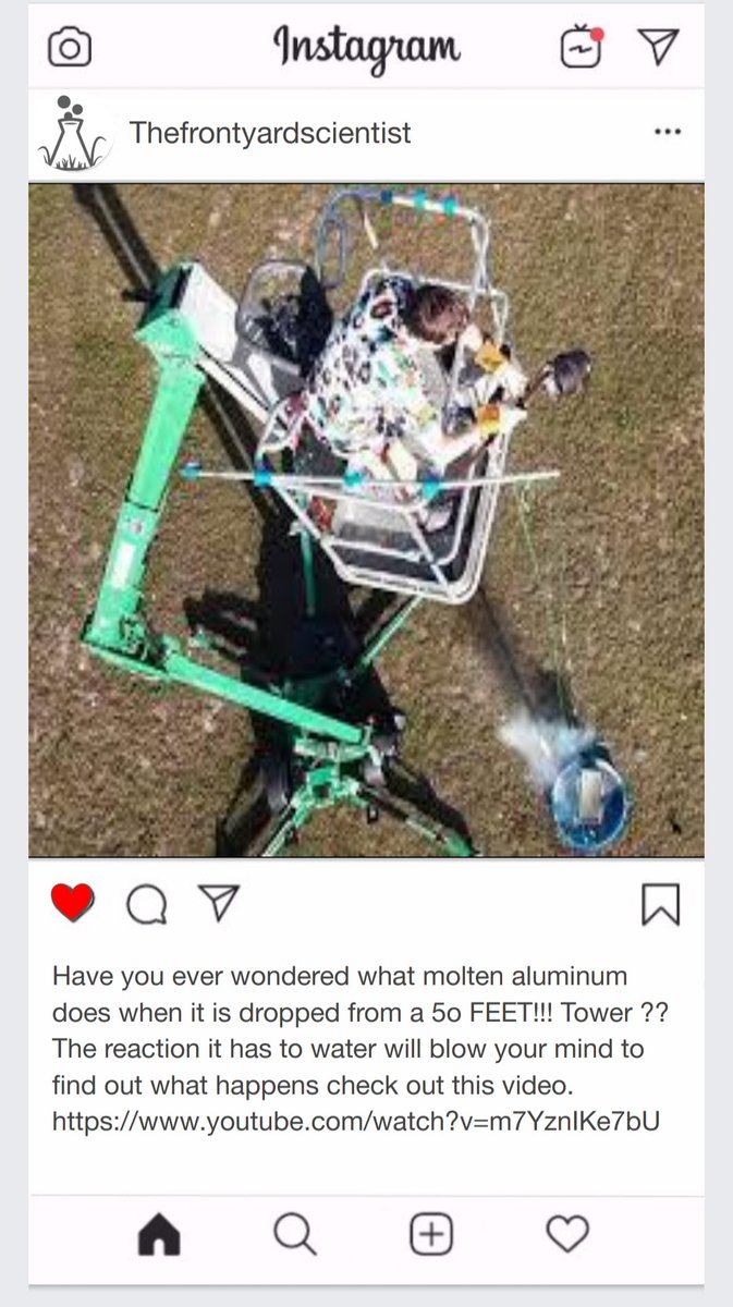 screamintreecat tweet media