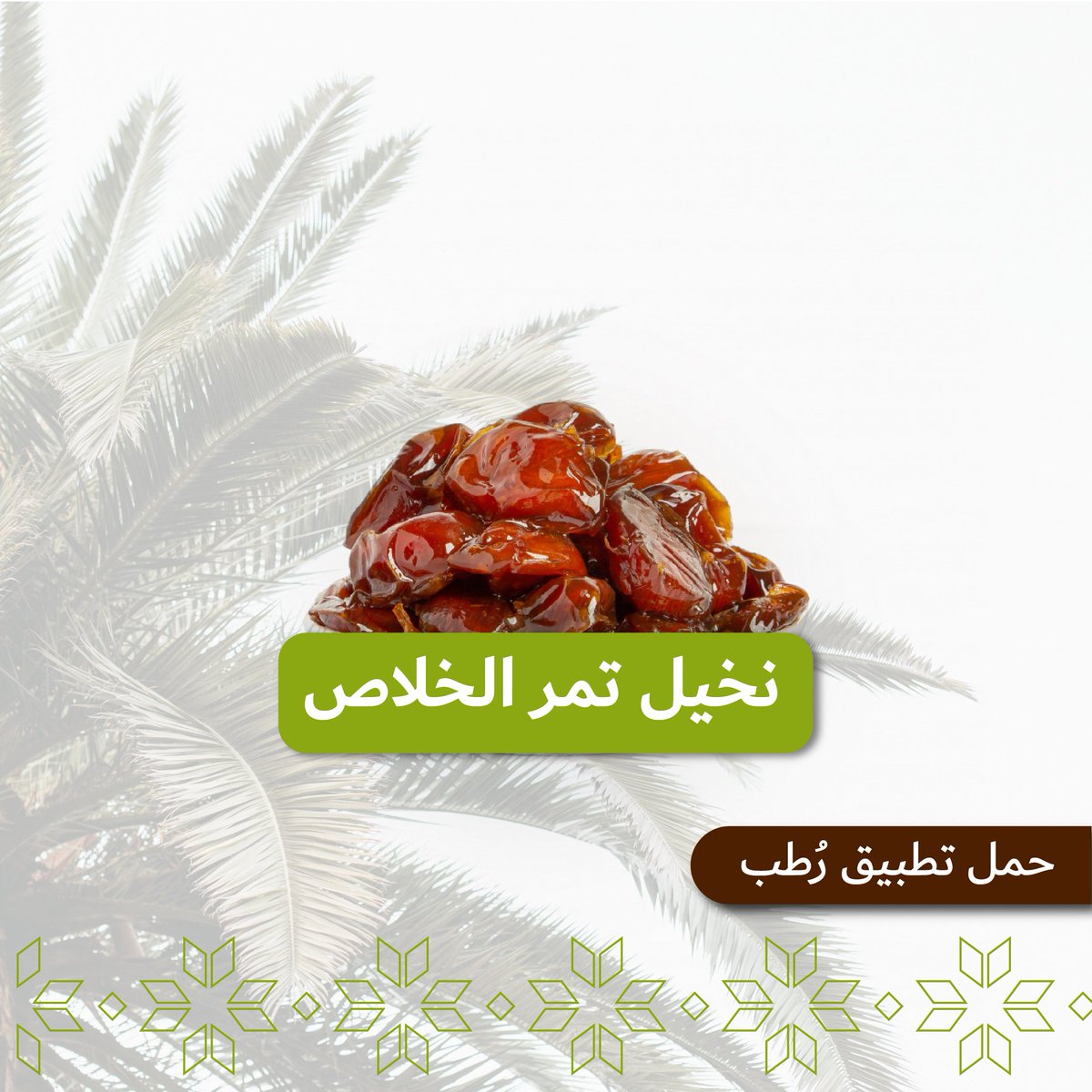rutab_app's tweet photo. ⚜️نخيل تمر الخلاص⚜️
من أجود أنواع التمور التي تتميز بنكهتها الطيبة، ولون تمورها الأصفر المائل للمشمشي، وعندما يصل إلى مرحلة الرطب يتحول لونه إلى كهرماني فاتح شفاف شمعي، ويصبح مذاقه أكثر حلاوة، وتتميز أشجار نخيل الخلاص بقدرتها على تحمل الجفاف ودرجات الحرارة العالية.

#رطب #تمور https://t.co/kUu0AFMfAa