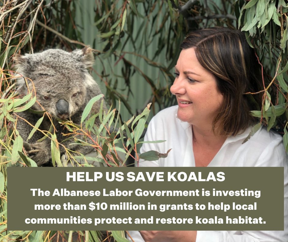 layla-s-on-twitter-rt-kristymcbain-help-us-save-koalas-the