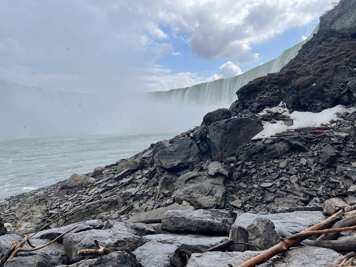 M Rusnell tweet media