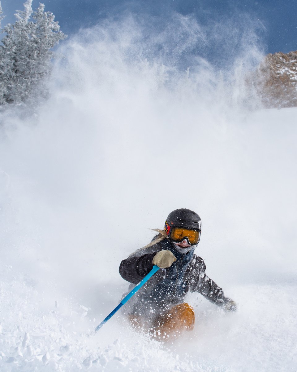 Snowbird tweet picture