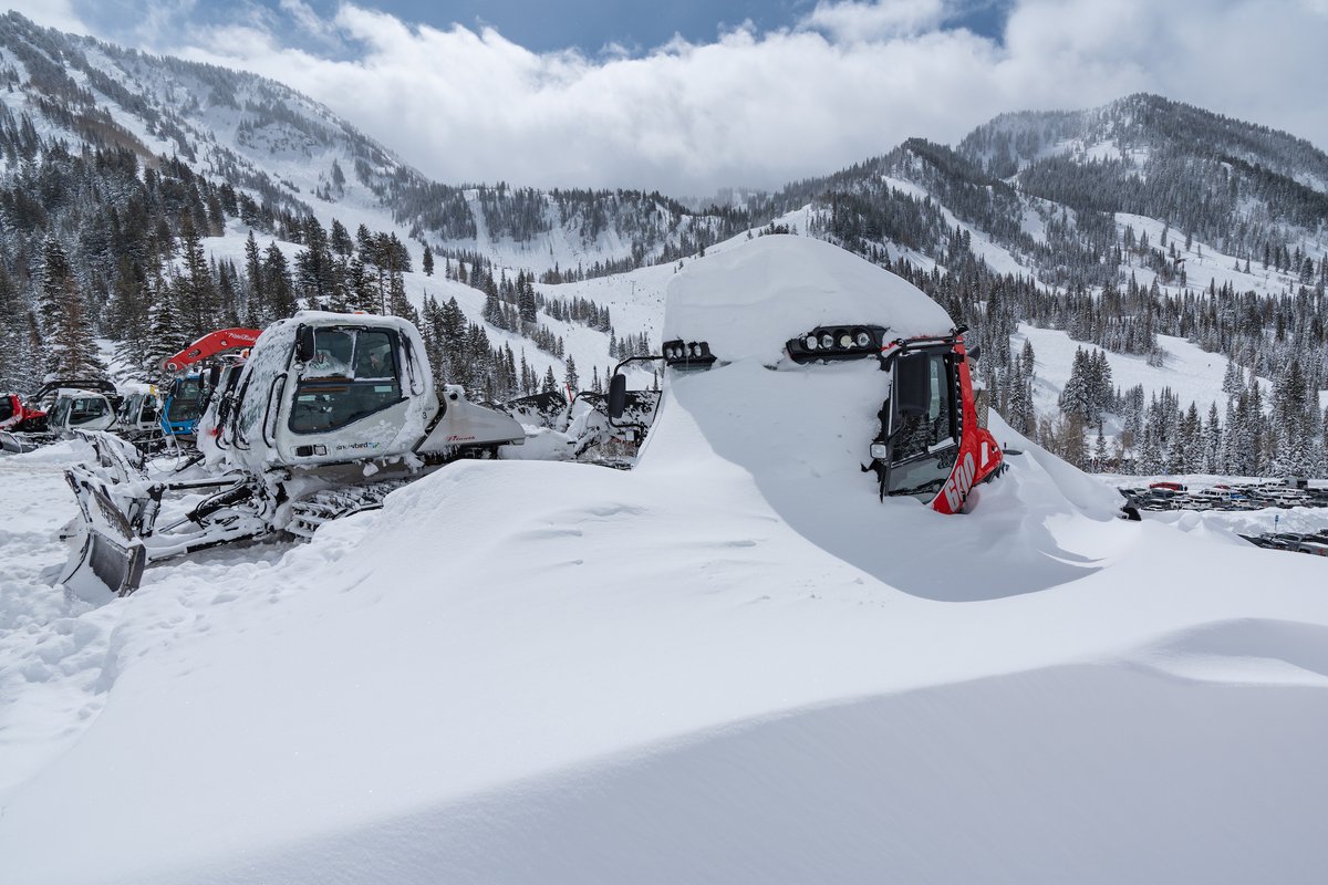 Snowbird tweet picture
