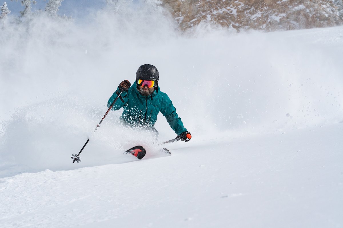 Snowbird tweet picture
