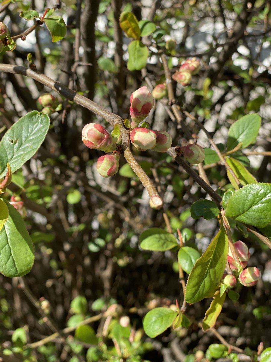 Nicole de B tweet media