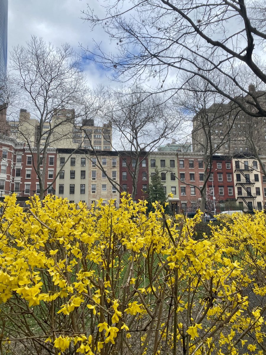 Nicole de B tweet media