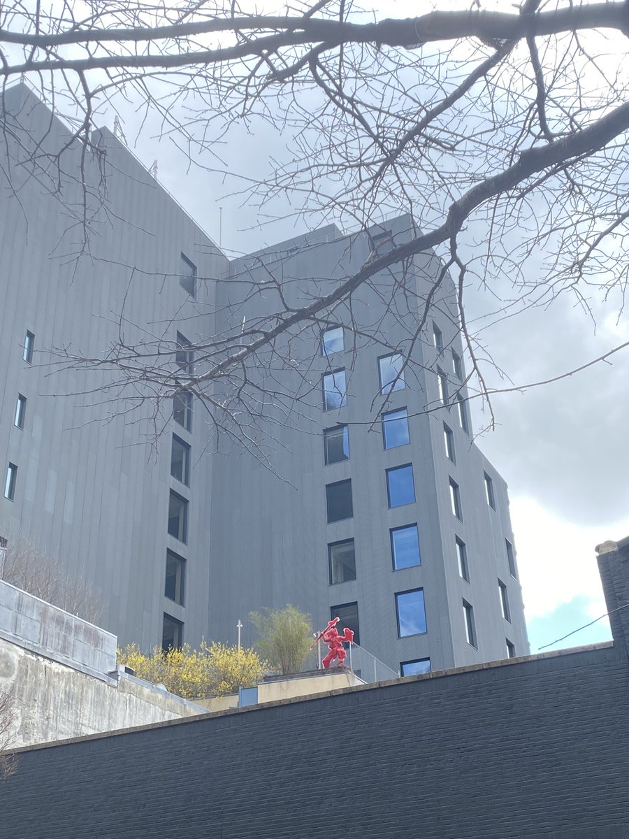 Spring was seen and felt today (pass the Zyrtec, pls.)