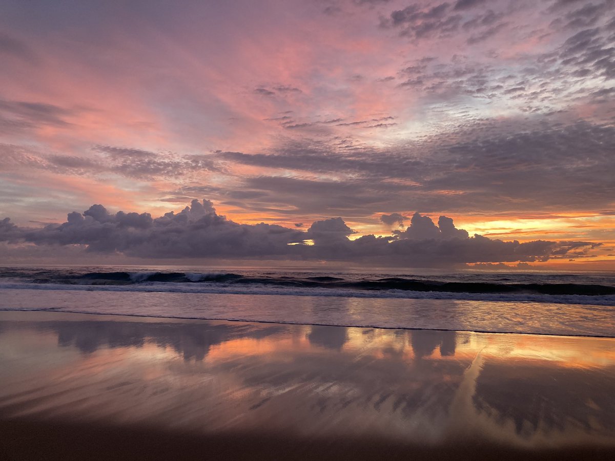 Corrine Barraclough tweet media