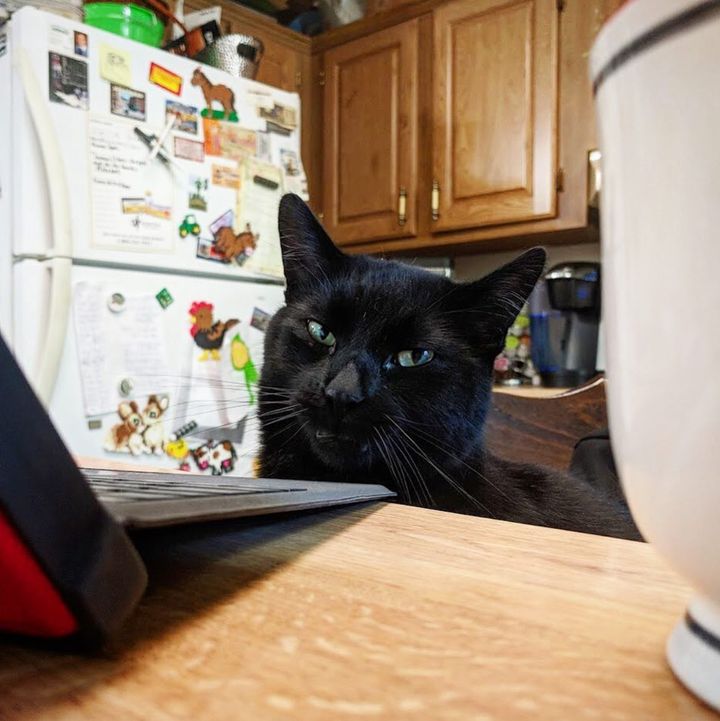 DrPol's tweet photo. When someone calls a meeting that could've been an email:

#tatertuesday #officehumor https://t.co/MLbEtQcR4R