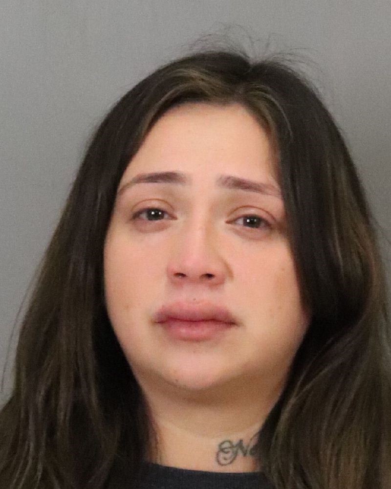 NEW: Police identify suspect in San Jose hit-and-run that left a woman and dog dead and injured a child as Silvia Solorio. nbcbay.com/3iDsim6

Solorio faces felony vehicular manslaughter and felony hit-and-run charges, police said.