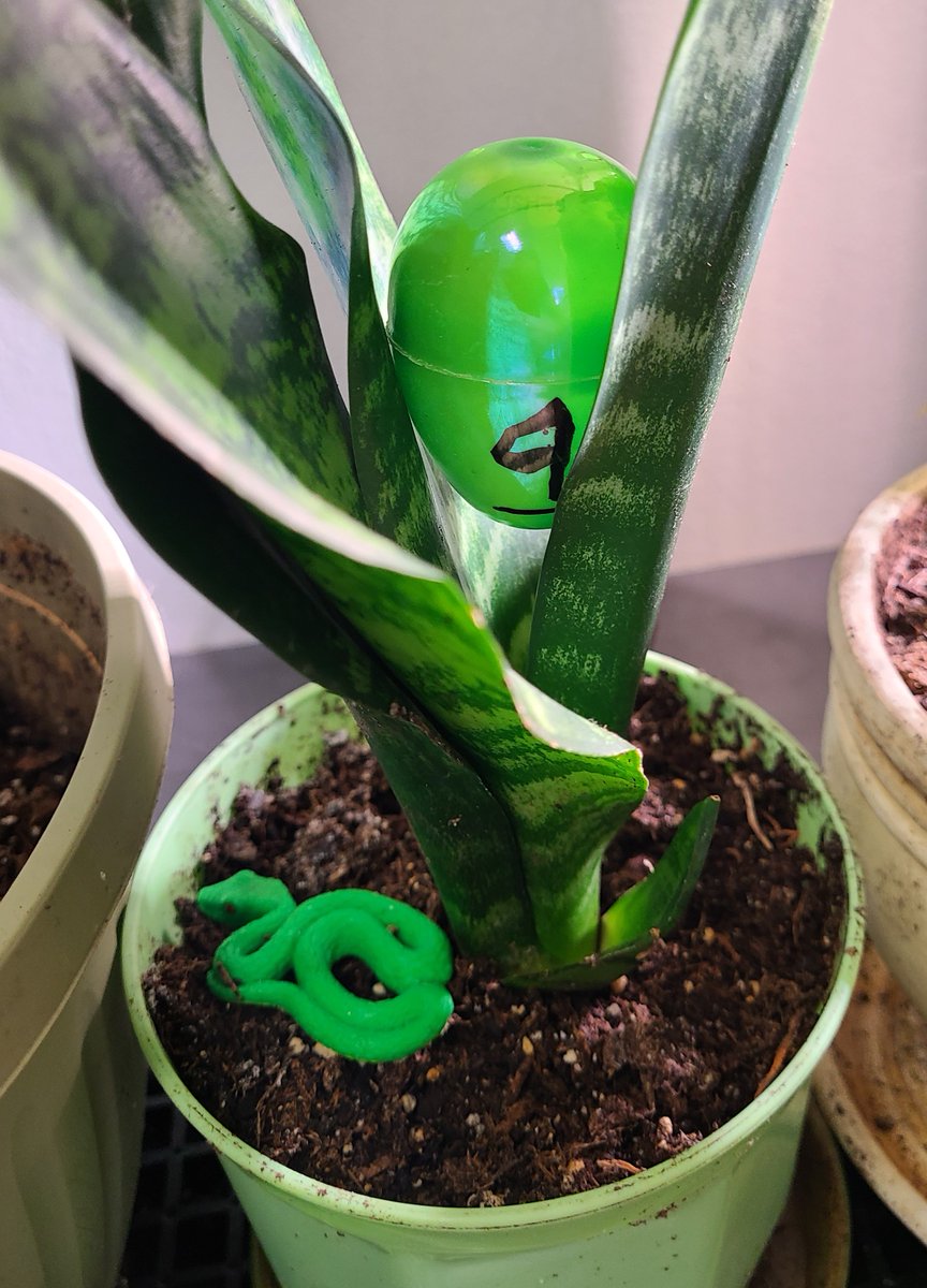 Amy McNabb tweet media