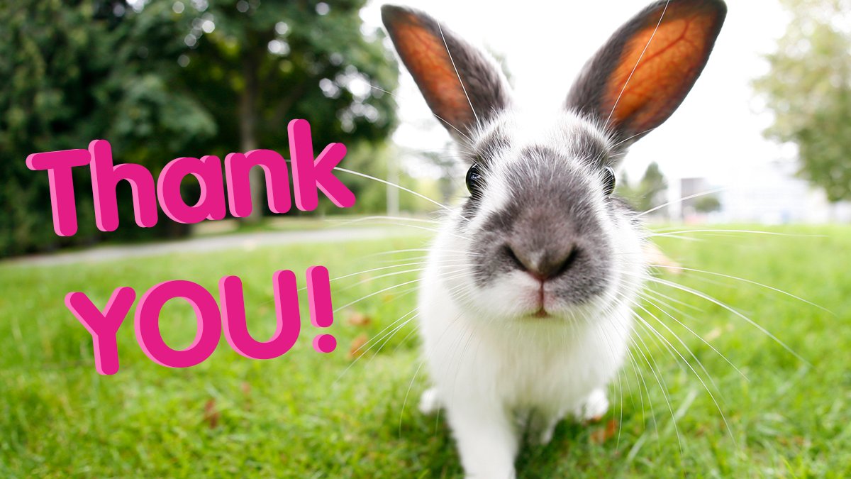 Breaking: The Canadian government has confirmed its commitment to ban cosmetics animal testing  in its 2023 federal budget. A #CrueltyFreeCanada is within reach. #Budget2023