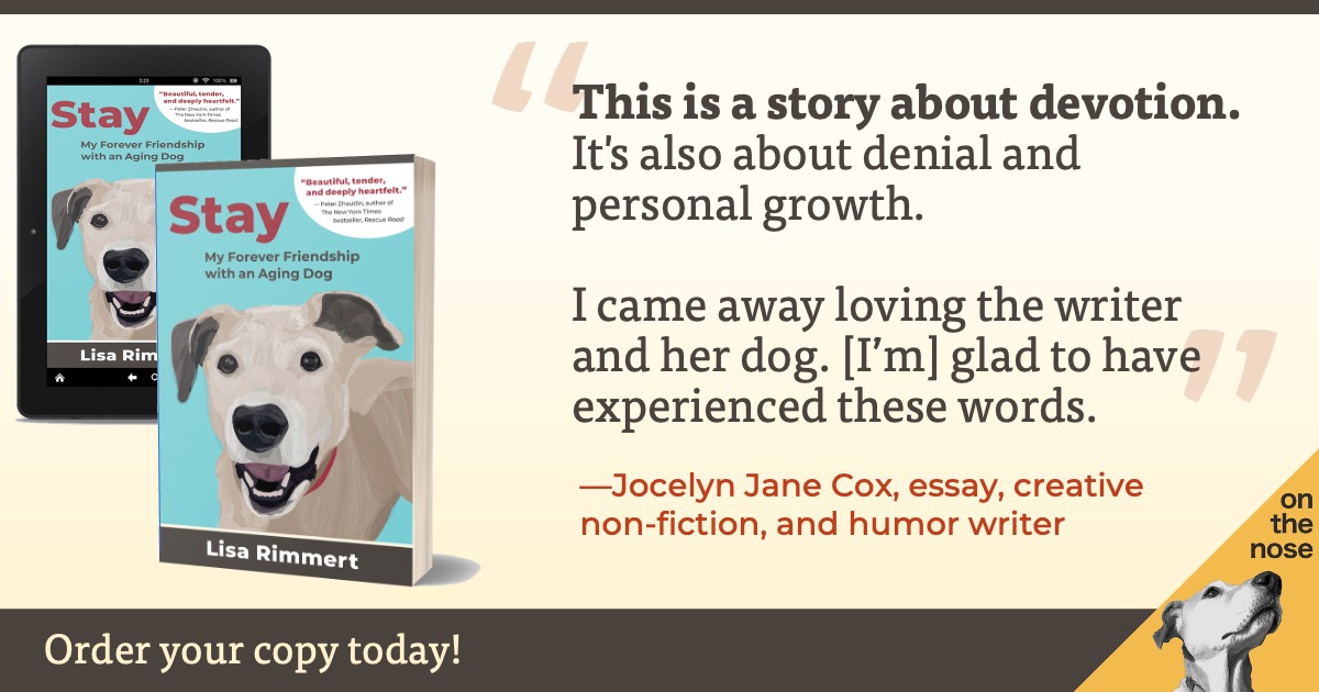 onthenosecomms's tweet photo. If @jocelynjanecox says to read something, we read it. (link in bio)

#BookRecommendations #DogsofTwittter https://t.co/qxq95oAMm2
