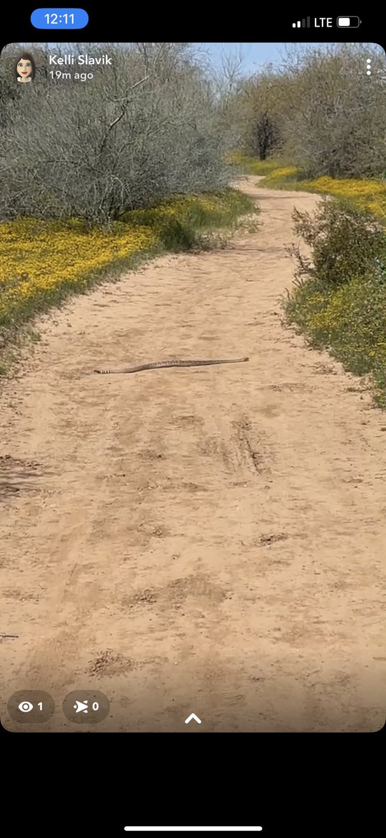 Kelli Slavik tweet media