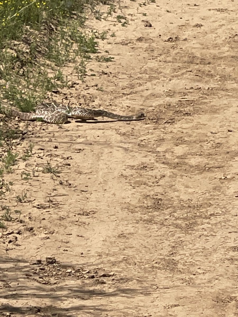 Kelli Slavik tweet media