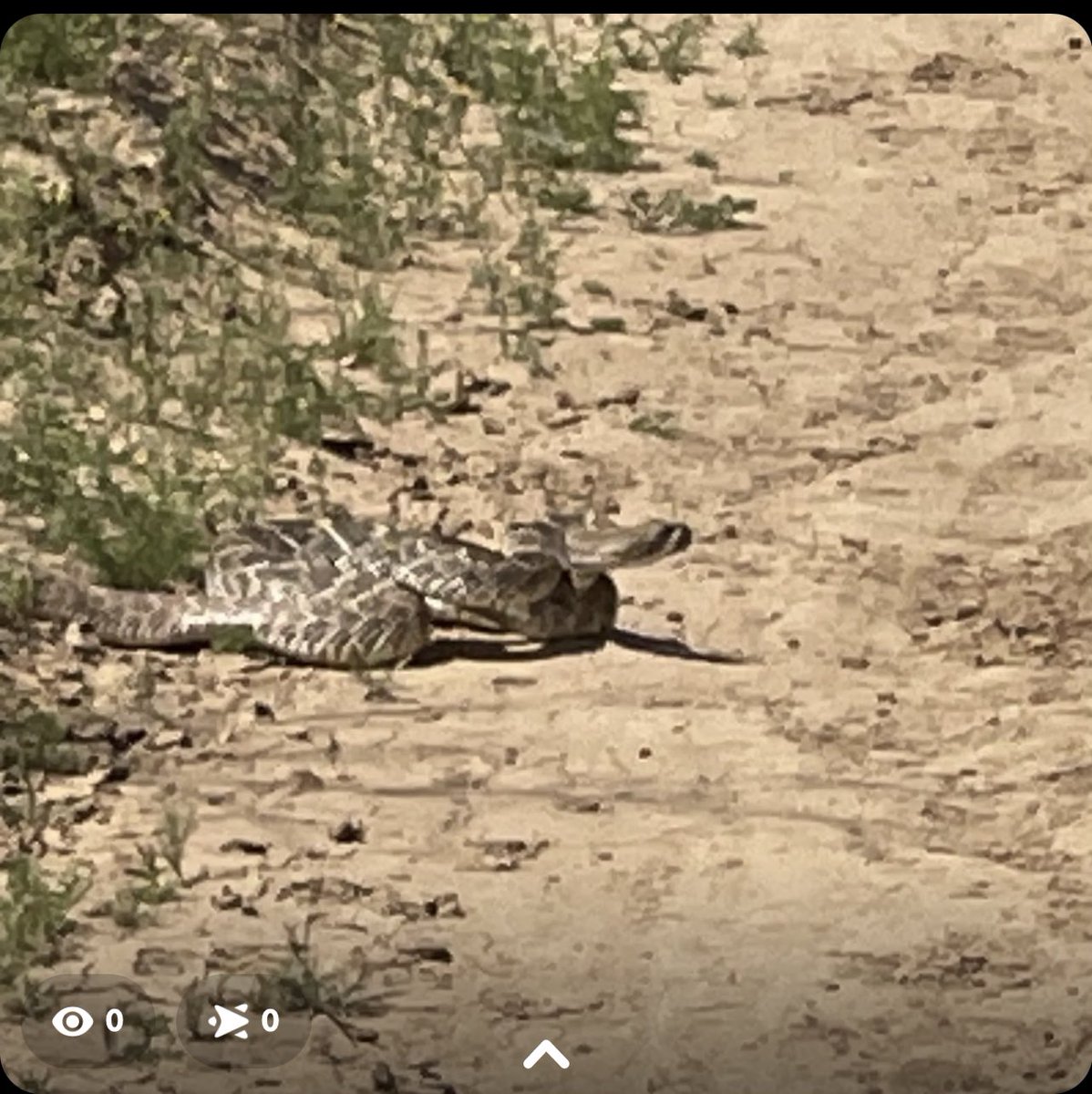 Kelli Slavik tweet media