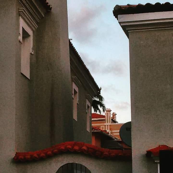 JGNRecife's tweet photo. A resistência do olhar e da permanência de uma cidade que perde a sua identidade, cronicamente, todo dia...
#AndançasPeloRecife #perambulações #cenasrecifenses #recifecentro #recifecotidiano #recifecontemplativo #sóvêquemvaiapé #avidanocentro
Instagram: @jgnfotos https://t.co/iuFIcqHgz6