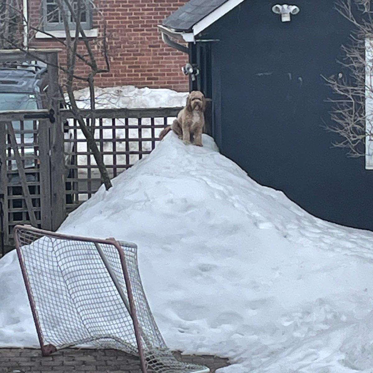 Chloe Girvan tweet media