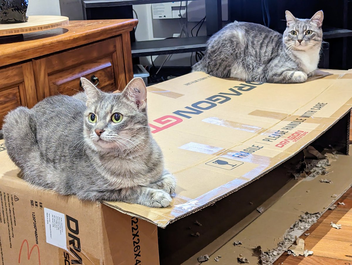 Reflex Save Podcast tweet media