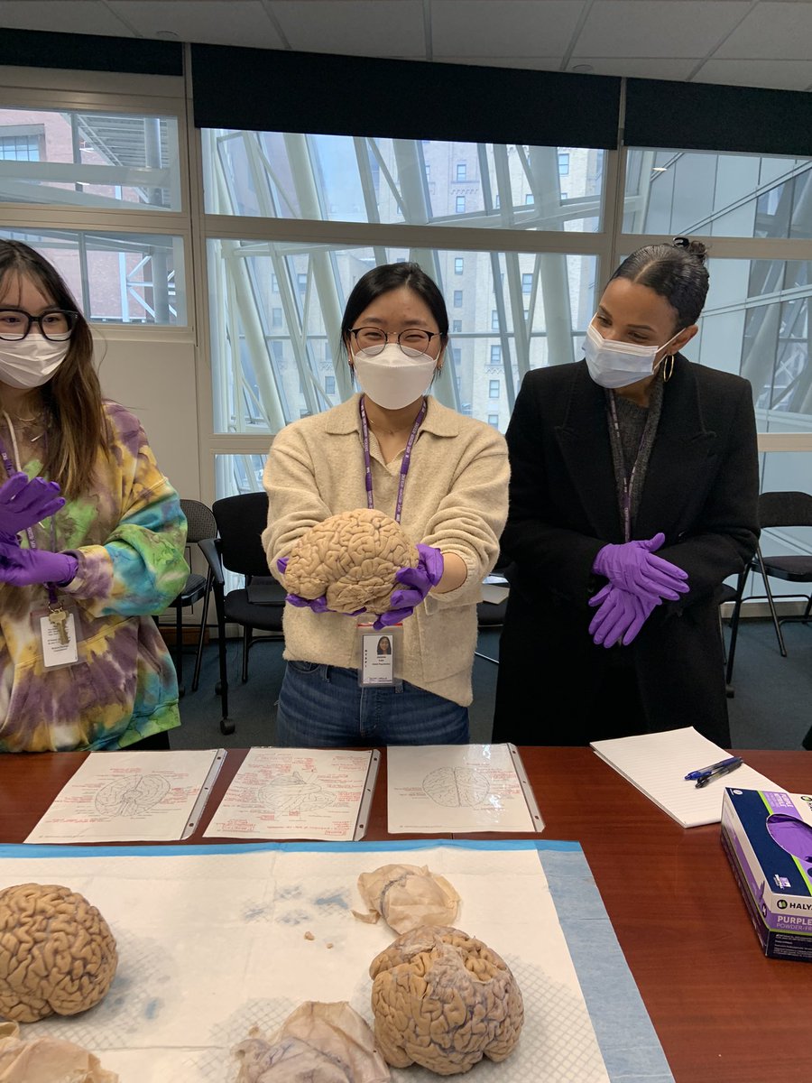 _jaimielee's tweet photo. Highlight of the week! Thank you to the donors, Kathleen Durkin, and @ZuckermanBrain for this cool opportunity 🧠 https://t.co/KsQy6jR0Lv