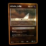 Photo by whale_info (@WHALEINFO)