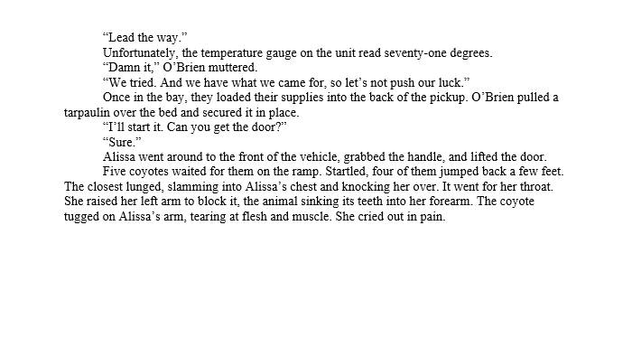 Here is an excerpt from Nurse Alissa vs. the Zombies IX: Calm Before the Storm, which is being released on 5 April on Kindle and Kindle Unlimited. You can be pre-order it on Amazon.

amazon.com/dp/B0BYVBLKBW