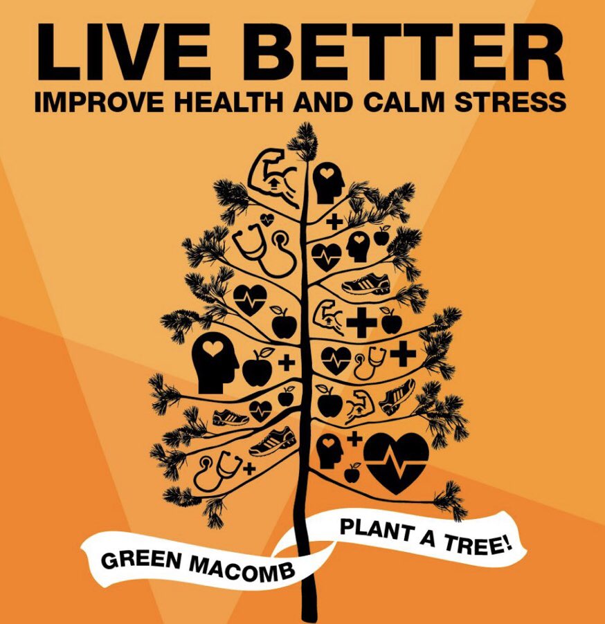 Dragon Football tweet media