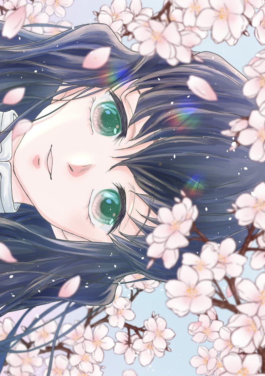 solo black hair green eyes looking at viewer sideways cherry blossoms flower  illustration images