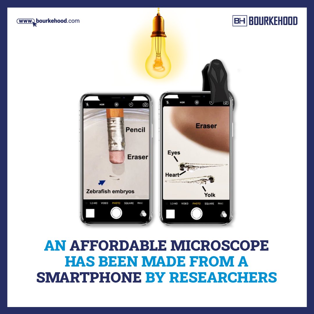 An affordable microscope has been made from a smartphone by Researchers

#Glowscope #FluorescentMicroscopy #SmartphoneMicroscope #STEMeducation #LowCostMicroscope #WinonaStateUniversity #BiologyResearch #DIYmicroscope #TheaterFilters #InnovativeScience