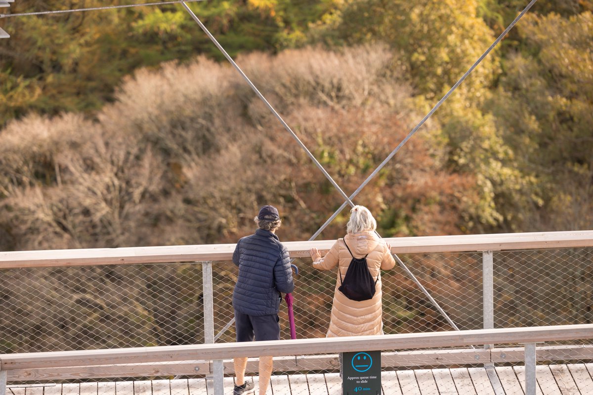 AvondaleBeyond's tweet photo. Discover the Treetop Walk experience, plan the perfect day out to catch up with family and friends this Easter.
The very gentle incline on the boardwalk means this unique experience is accessible to all generations.
#treetopwalk #accessible #familytime https://t.co/3UhIuxHg2w