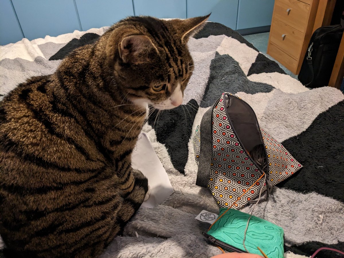 Penny approves of this new project bag and notions pouch from The Little Grey Girl! Thelittlegreygirl.com These have really cheered me up on this last cold-ridden slog towards the Easter holidays!  #KnittingTwitter
