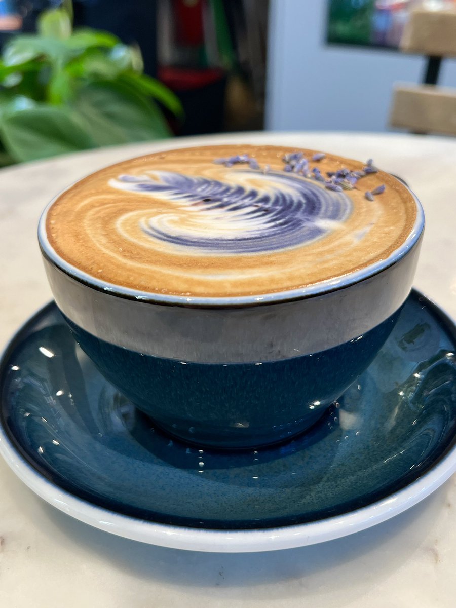 How much #coffee do you drink everyday? #CoffeeLover