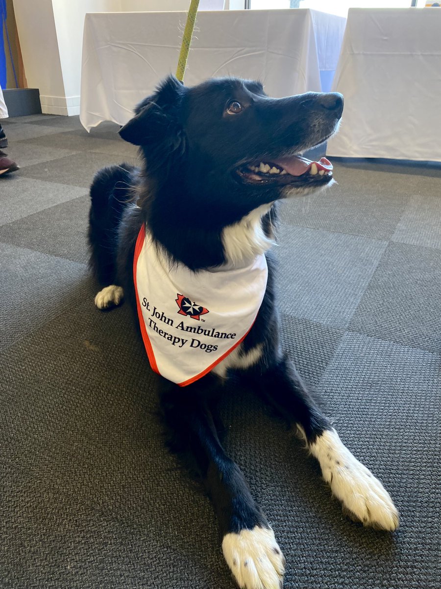 Dog Therapy is happening now at <a href="/sfuvan/">SFU Vancouver</a> until 4:00pm! Take a break and drop by the Teck Gallery at Harbour Centre to experience the calmness, love, and joy of a therapy dog. 🐶❤️  

This event is part of #SFUWellnessDays. 

Learn More: sfu.ca/vancouver/welc…