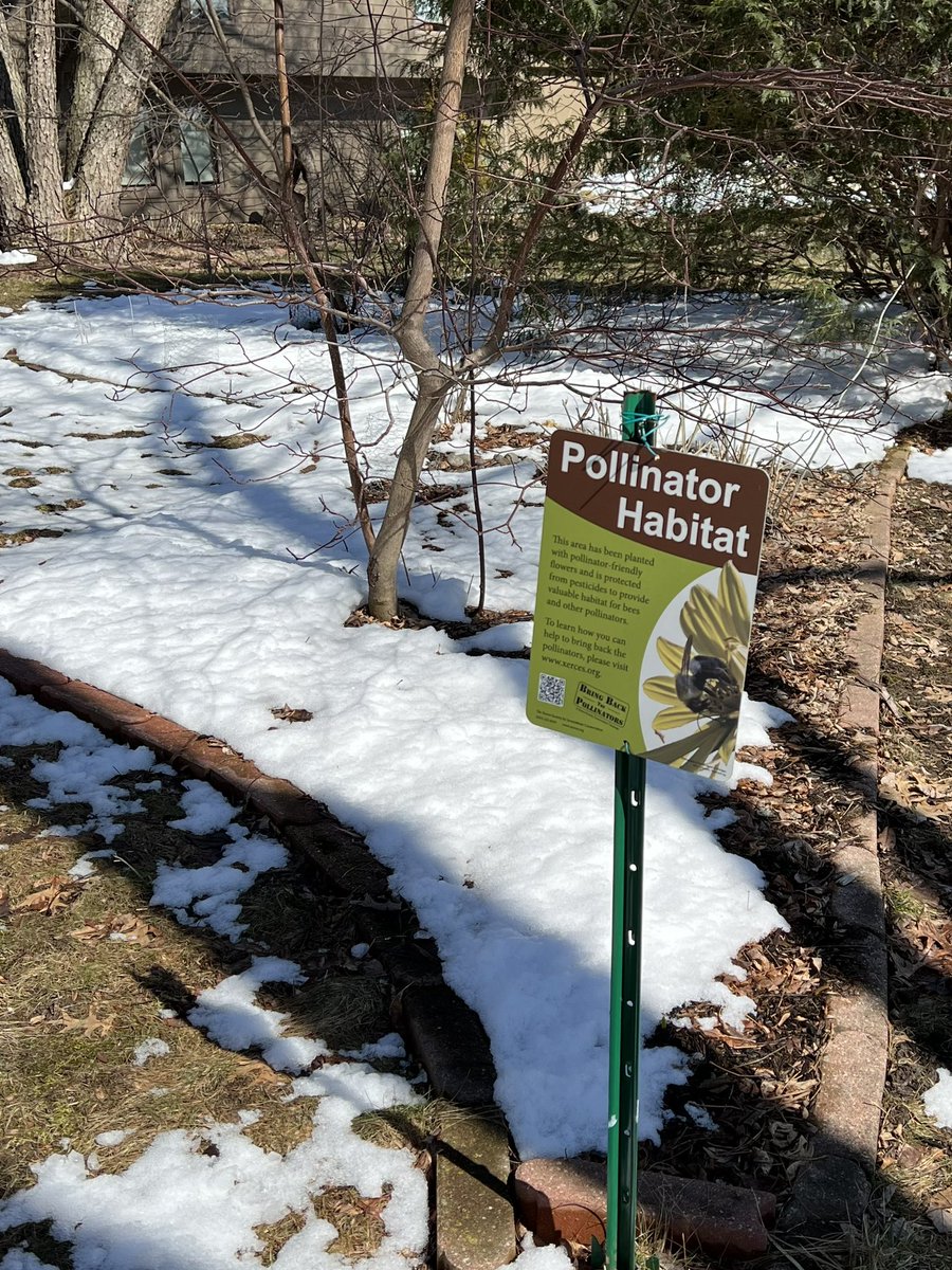 LisaSubeck's tweet photo. Took advantage of a rare day without meetings in the Capitol to knock on some doors and talk to voters about @janetforjustice! I spotted some “signs” of spring along the way. https://t.co/jH34O8tLsb