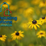 Photo by Cohousing Options Canada (@COHOOptions)