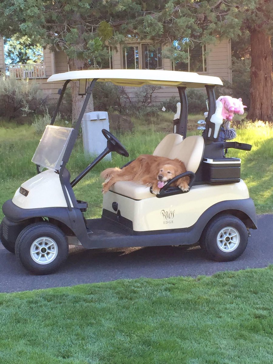 Hailey Rae Ostrom tweet media