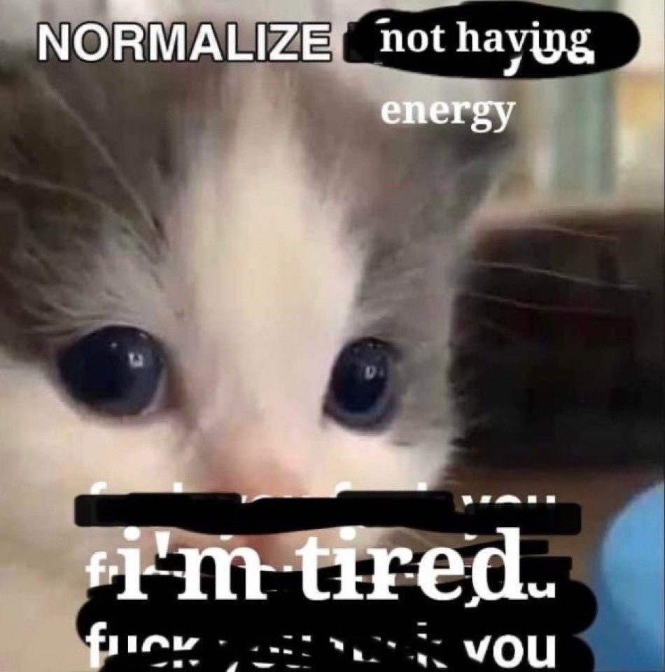 LiterallyMeCats (@literallymecats) on Twitter photo 