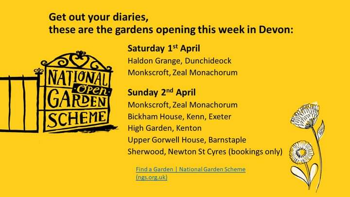 Devon NGS (@devonngs) on Twitter photo 